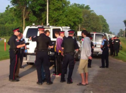 Protesters are loaded into wagons. (from swampline9.tumblr.com)