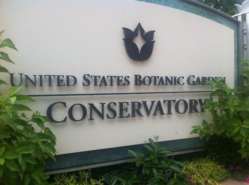 A quick photo recap of some of my D.C. trip highlights. More...