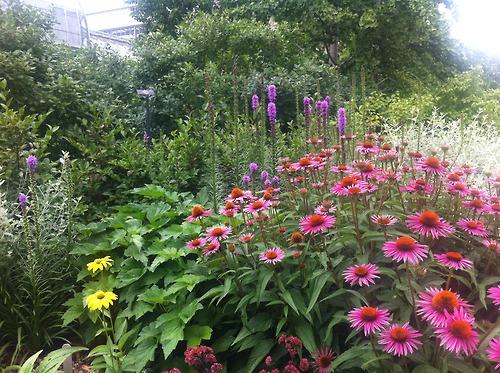 A quick photo recap of some of my D.C. trip highlights. More...