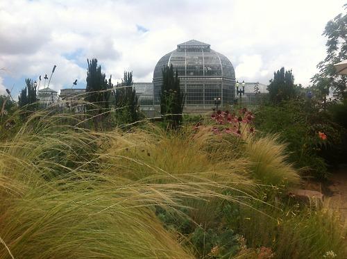 A quick photo recap of some of my D.C. trip highlights. More...