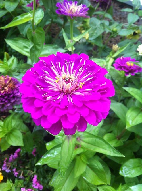 A quick photo recap of some of my D.C. trip highlights. More...