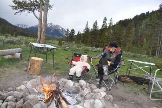 bear in the campsite