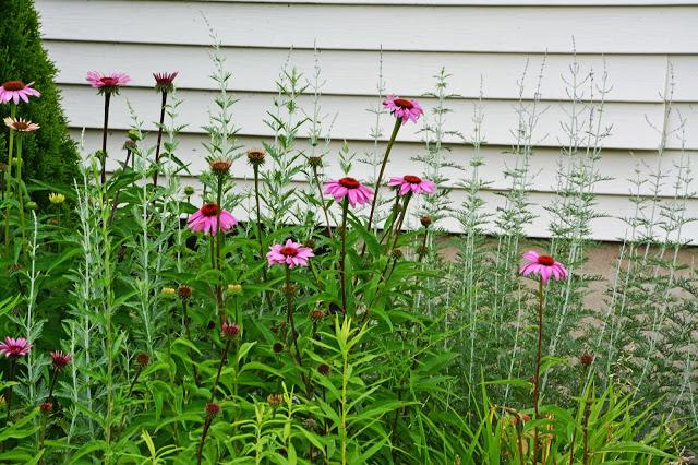 Assessing the blooms