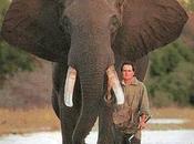 Simply Amazing Elephant Story. Must Read End.