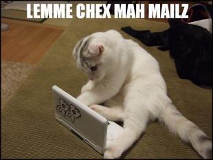 let-me-check-my-emails-lolcat-4
