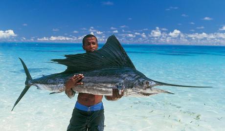 http://www.lussotravel.com/uploads/country/Seychelles-6.jpg