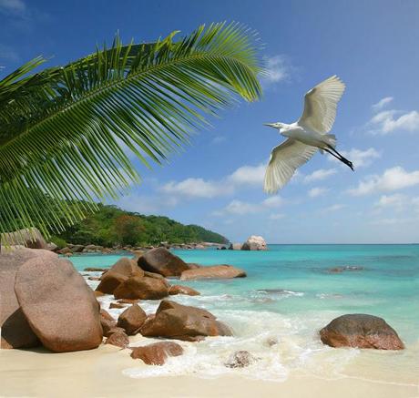 20 photos of sweet Seychelles