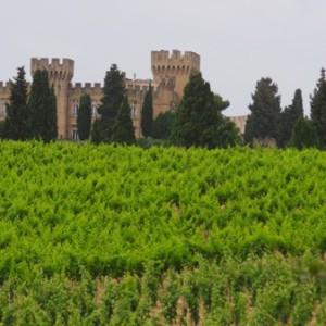 Chateau_Fines_Roches_Chateauneuf005