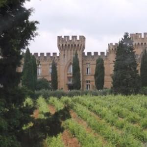 Chateau_Fines_Roches_Chateauneuf006