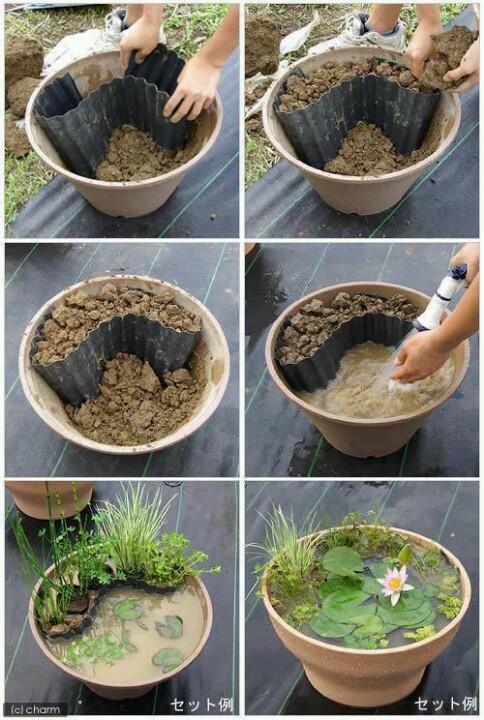 Pond-in-a-pot