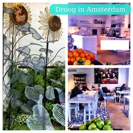 Droog, a funky store/cafe/hotel in Amsterdam