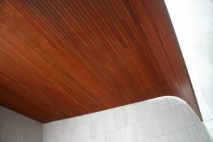 5. Detalle Plafón y domo b