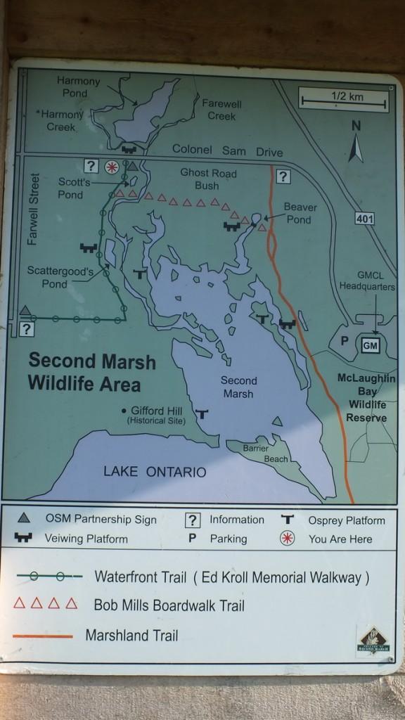 Second Marsh Trail Map - Oshawa - Ontario