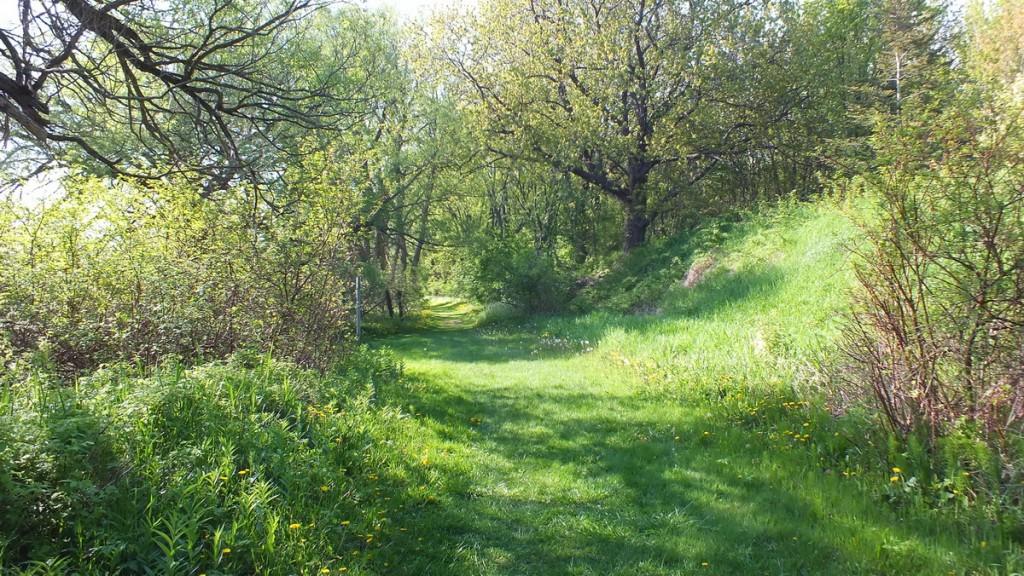 Cool Hollow Trail - Second Marsh - Oshawa - Ontario