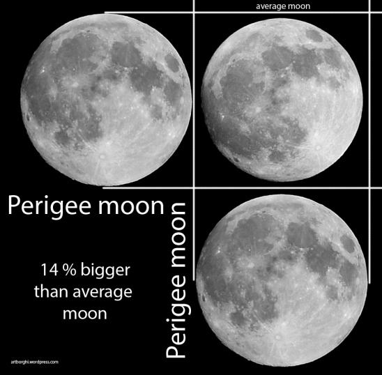 artborghi-epigean-not-epigean-moon comparison