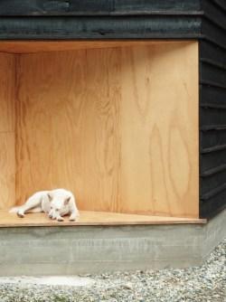 Wood and the Dog by StudioErrante Architetture