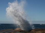 Bicheno Blowhole: Geology Most Playful