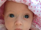 Project Strawberry Shortcakg