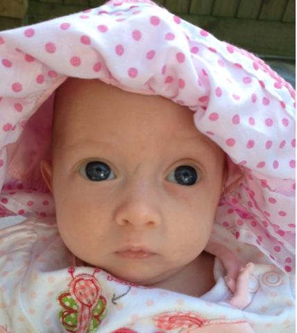 Day 180 of The 365 Project - My Strawberry Shortcakg