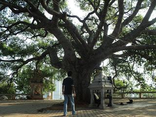 74) Turahalli Forest & Omkar Hills: (31/3/2013 & 7/4/2013)