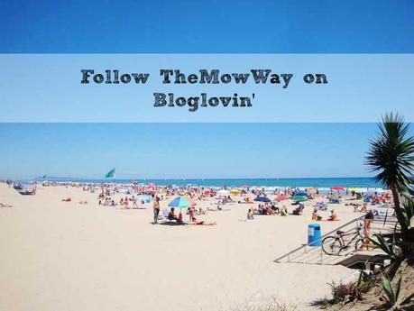 Follow on Bloglovin'  - TheMowWay.com