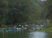 Paddlers Charge Silver River, Protesting Expected Cattle Ranch