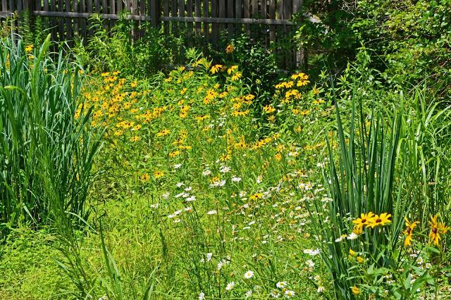 The Garden at Federal Twist