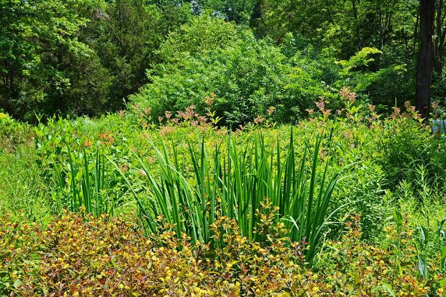 The Garden at Federal Twist