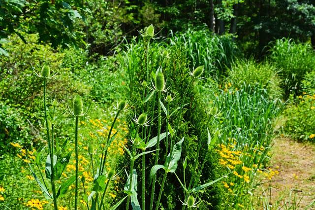 The Garden at Federal Twist