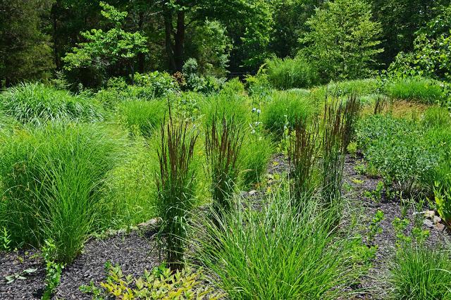 The Garden at Federal Twist