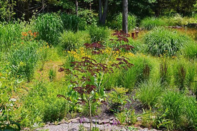 The Garden at Federal Twist