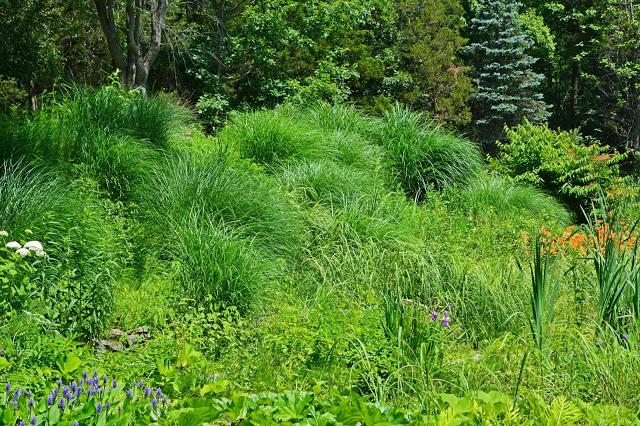 The Garden at Federal Twist