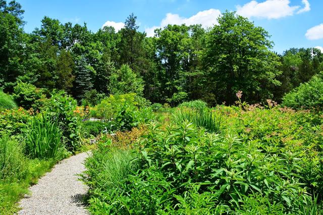 The Garden at Federal Twist