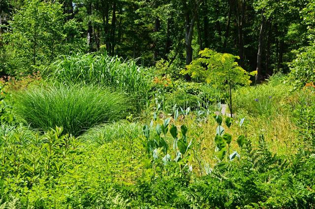 The Garden at Federal Twist