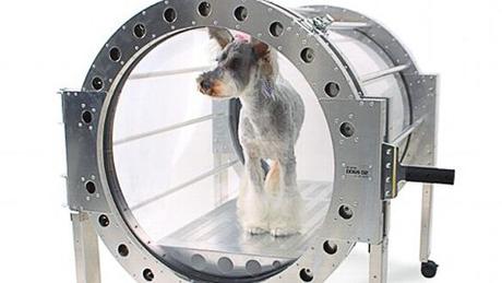 Doggie Hyperbaric Chamber photo by Air Press