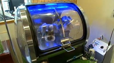 Japan Unveils the DOG Spa of the Future!