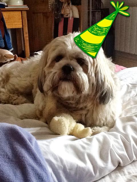 Happy 2nd Birthday Jasper