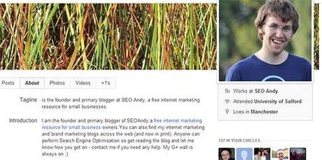 5 Handy Hints for Using Google+ for SEO seotips 