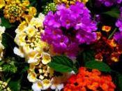 Beauty Good Versus Evil