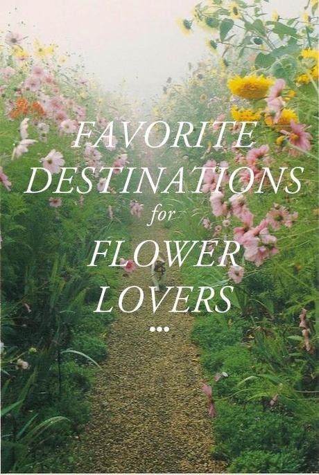 Top destinations for flower lovers