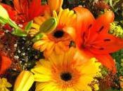 Spiritual Protection