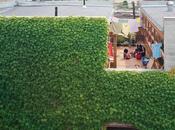 Cool Modern Courtyards