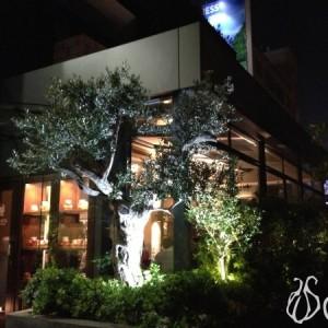 Margherita_Pizzeria_Dbayeh_Blueberry_Square10
