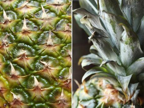 Pineapple Textures