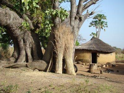 benin-africa