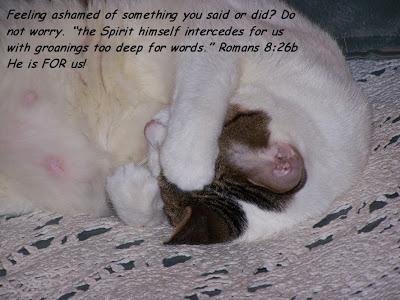 Mid-day encouragement: The Spirit is FOR us