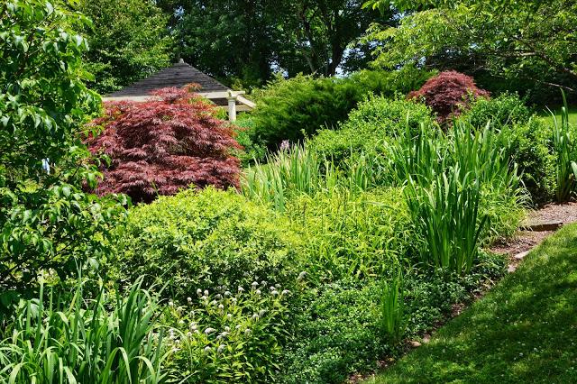 The Garden of Dorothy and John Meggitt