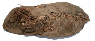 World's Oldest Shoe