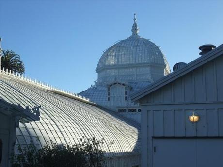 San Francisco Botanic Garden at sunset