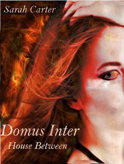 Book Promo Day: 4th July, 2013